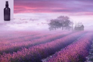 Embrace Lavender Mist Hydration